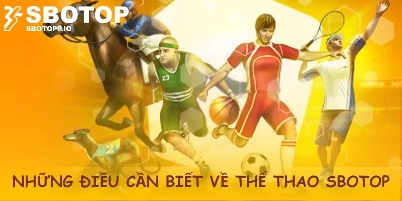 Tổng hợp những thông tin cơ bản về thể thao SBOTOP