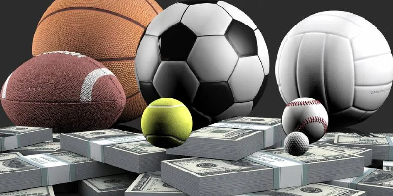 App nhà cái cung cấp một danh mục cá cược thể thao vô cùng phong phú